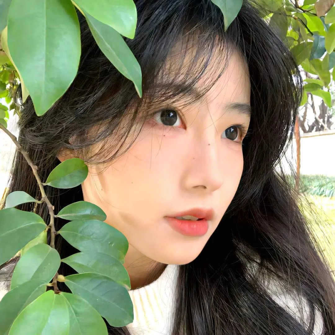 永恒美人