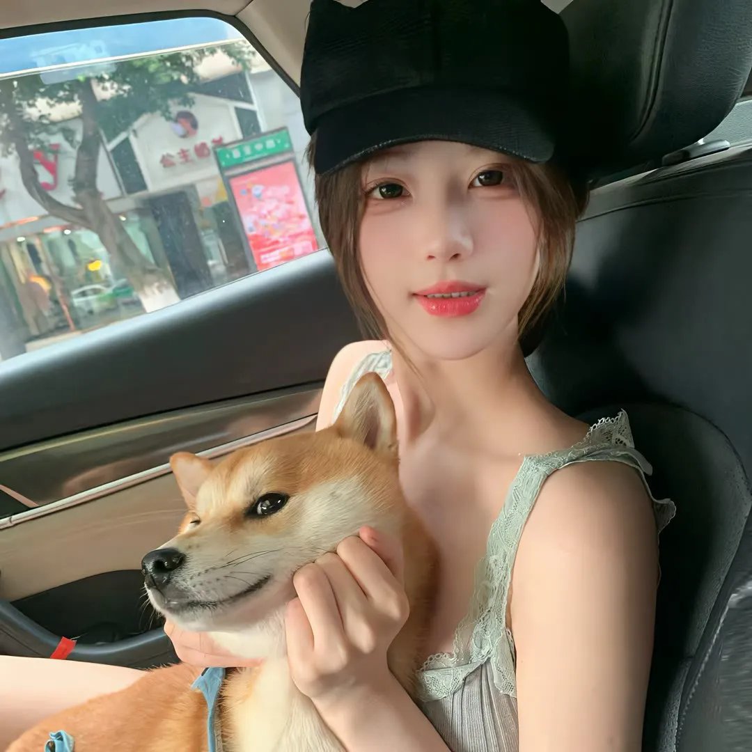 侠盗魅影